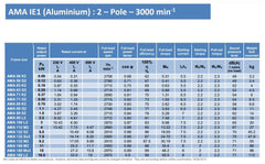 0.18kW (0.25hp) Three Phase Motor 2 Pole (3000RPM) 63 Frame