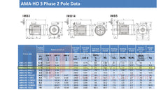 0.75kW (1.0hp) Three Phase Motor 2 Pole (3000RPM) 71 Frame (INCREASED OUTPUT)