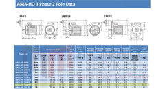 11.0kW Three Phase Motor 2 Pole (3000RPM) 132M Frame (INCREASED OUTPUT)