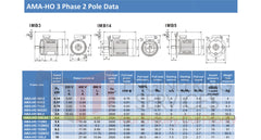 4.0kW (5.5hp) Three Phase Motor 2 Pole (3000RPM) 100 Frame (INCREASED OUTPUT)