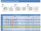 3.0kW (4.0hp) Three Phase Motor 6 Pole (1000 RPM) 132S Frame