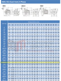 55.0kW Three Phase Motor 6 Pole (1000 RPM) 280M Frame