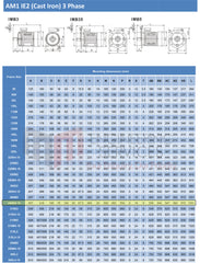 55.0kW Three Phase Motor 6 Pole (1000 RPM) 280M Frame