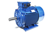 45.0kW Three Phase Motor 2 Pole (3000RPM) 225M Frame