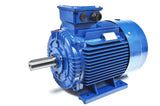 30.0kW Three Phase Motor 2 Pole (3000RPM) 180M Frame (INCREASED OUTPUT)